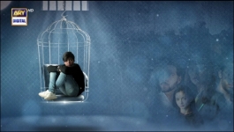 Pinjra - Episode 04 - 20th October 2022